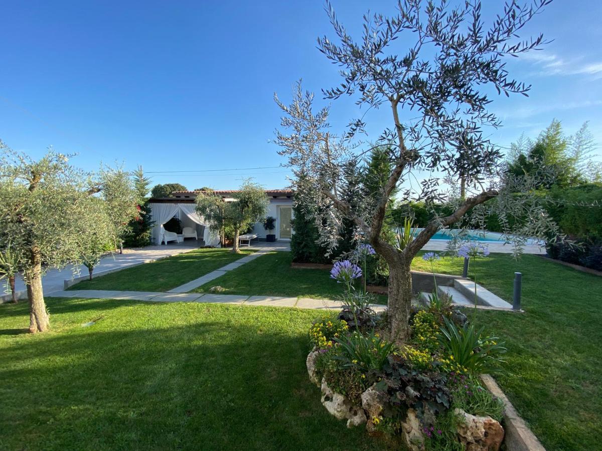 Mincio Relais Bed & Breakfast Castelnuovo del Garda Bagian luar foto